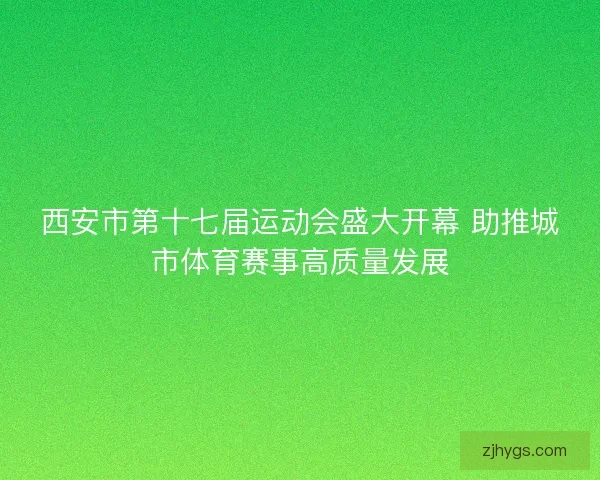 西安市第十七届运动会盛大开幕 助推城市体育赛事高质量发展